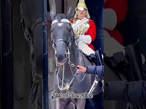HORSES MAY KICK OR BITE! WHY DONT PEOPLE EVER READ 😅😂 #UKMilitaryContent #OnlyForces #UKMilTok