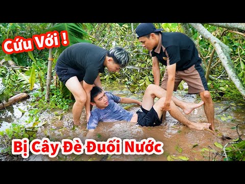 Hậu Cáo - Cứu Người Bị Cây Đè Mùa Lũ Bão !