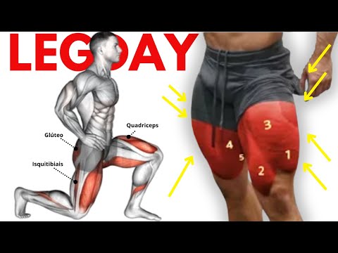 7 Exercícos Para Contruir Pernas Volumosas (Quadriceps, Glúteo, Posterior de Coxas)