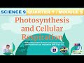 Photosynthesis and Cellular Respiration Concepts