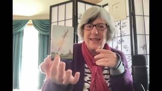 Cover up continues, Texas & midterms, Canada/US deal? Aust recognises Palestine? Epstein photos...