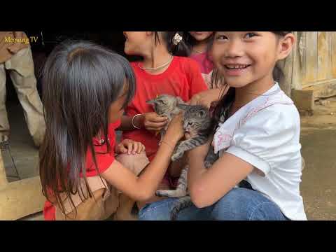 Kittens are always loved by babies.