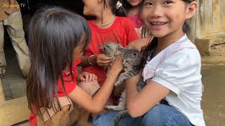 Kittens are always loved by babies.
