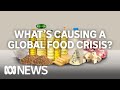 Global Food Crisis and Solutions