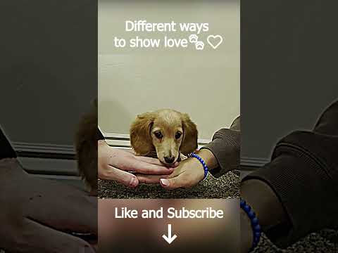 Our pets show us their love in different ways ❤️🐾