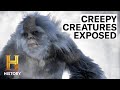 Cryptid Mysteries and Hoaxes