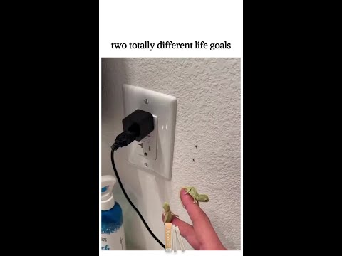 two totally different life goals 😆