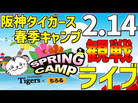 【 阪神タイガース 宜野座キャンプ 生中継 阪神ファン集合 】 2/14 阪神タイガース 春季キャンプ 2024 一緒に観戦 #阪神ライブ #タイガースライブ #ライブ ＃半ドン #宜野座ライブ