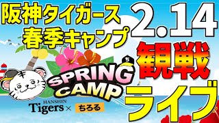 【 阪神タイガース 宜野座キャンプ 生中継 阪神ファン集合 】 2/14 阪神タイガース 春季キャンプ 2024 一緒に観戦 #阪神ライブ #タイガースライブ #ライブ ＃半ドン #宜野座ライブ