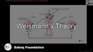 Weismann's Theory