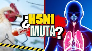 ¡CUIDADO! ¿VIRUS DE LA GRIPE AVIAR H5N1 MUTA? ¿RESISTENTE A DEFENSAS HUMANAS?