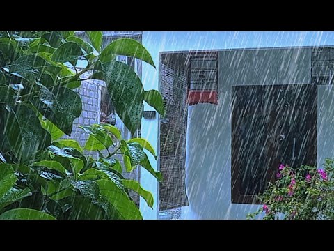 Relaxing rain sounds 🌧️ Rain sounds for sleeping - sleep fast in minutes - ASMR rain sounds