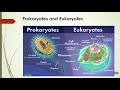 Cell Structure and Transport Concepts