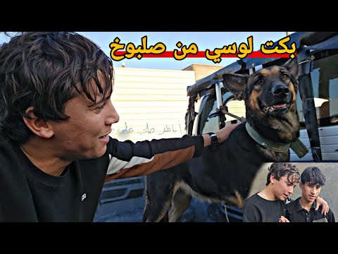 ضحكت على اخو صلبوخ عباس وبكت لوسي منهم_جبت لوسي لديالى