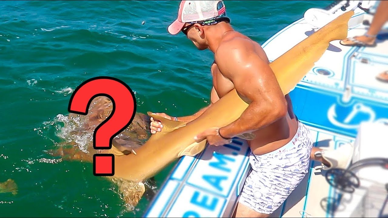 #1 MISTAKEN IDENTITY Leads to Giant Surprise Catch!