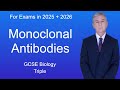Monoclonal Antibodies Concepts