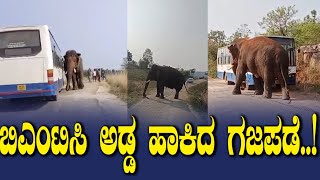 ಬಿಎಂಟಿಸಿ ಅಡ್ಡ ಹಾಕಿದ ಗಜಪಡೆ..!