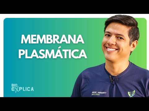 MEMBRANA PLASMÁTICA - CÉLULA - Citologia | Resumo para a Prova