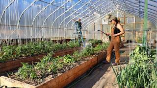 1000s of Plants in the Ground | Spring Hunting & Firing Up the Smoker for Caribou Jerky