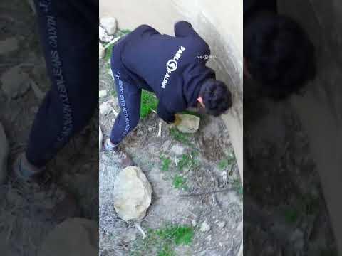 ?RESCATAMOS ESTA SERPIENTE DE UN POZO! El bolsillo…?