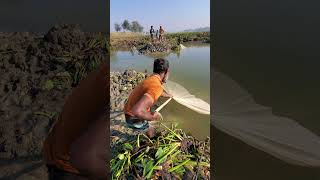 Net Fishing In Canal