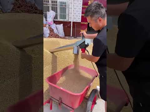 Băng tải hút thóc, hút ngô, ... thuận tiện cho bà con trong mùa thu hoạch nông sản #o348233oo6
