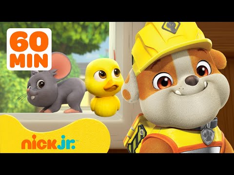 Rubble & Crew's BEST Animal Rescues In Builder Cove! #2 | 60 Minute Compilation | Nick Jr.