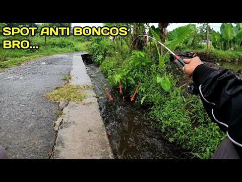 Beruntung Sekali Mancing di Selokan Dapat Ikan Sebanyak ini