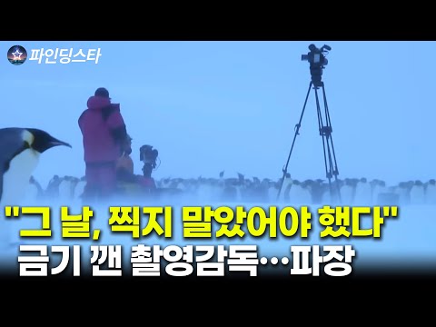 "영하 60도, 펭귄을 살리기 위해 촬영감독이 깼던 단 하나의 금기"