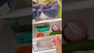 My Zero Waste Fridge Tour!🌎