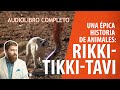 Exploring Themes in Rikki-Tikki-Tavi