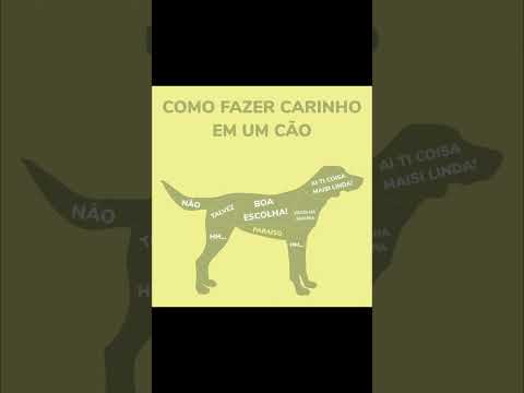 Como fazer carinho em um cão 🐕‍🦺 #memes #memescompilados