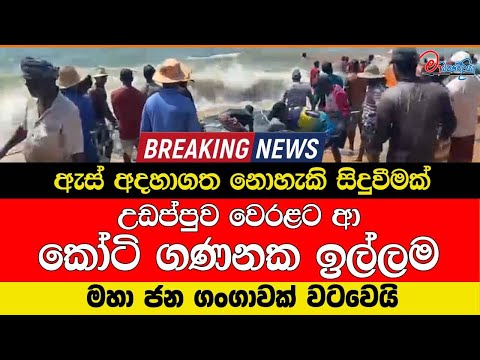 ඇස් අදහාගත නොහැකි සිදුවීමක් උඩප්පුව වෙරළට ආ කෝටි ගණනක ඉල්ලම