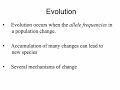 Evolution and Mutation Concepts