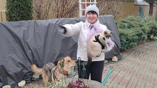 видео