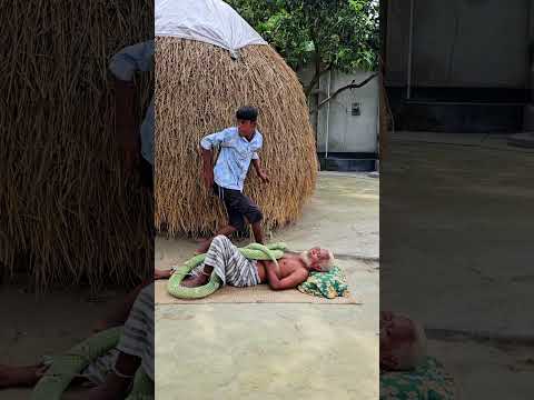 Epic King Cobra Prank on Grandpa โ He Was Just Resting! ๐๐