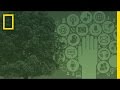 Sustainable Practices and Environmental Impact