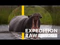 Exploring the Okavango River Adventures