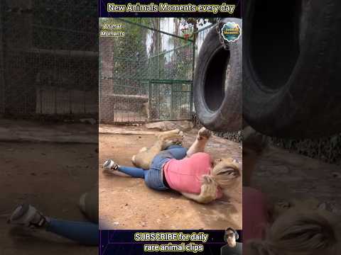 Rare Animal Encounters Caught on Camera