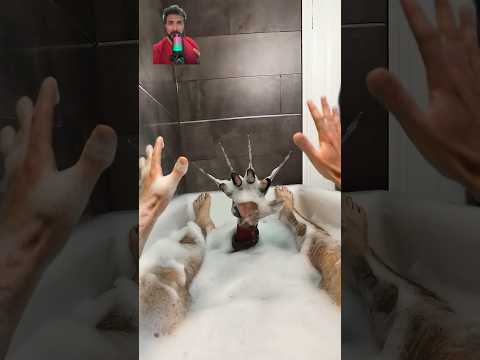 Astronauta Carioca - Banho relaxante