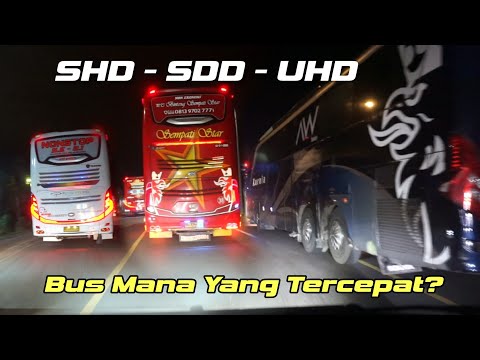 Ketika Supir Memaksa Bus Agar Menjadi Yang Tercepat 🔥( Hati Hati Pak Supir )