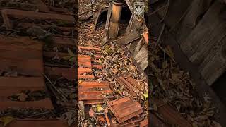 POV: Azov Fighters Assault