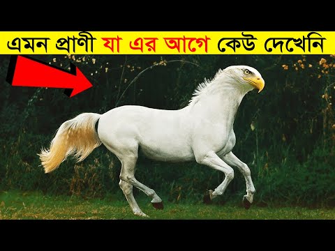 বিশ্বের সবচেয়ে অদ্ভুত প্রাণী যা দেখার জন্যও কপাল লাগে | Most Amazing And Rare Creatures