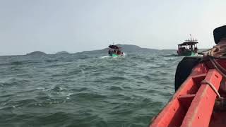 Family Trip To Rabbit Island