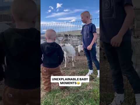 Baby Tries to Copy Goat… Gets a Surprise Kick! 🐐😂 #funny #cutebaby