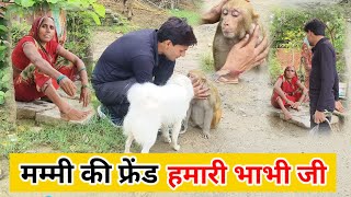 मंकी रानी का इमोशनल चेहरा 🥺 ।। मां के जाने के बाद कौन सी लेडिस मंकी रानी की देखभाल करती है।।  