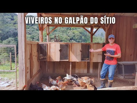 ROTINA NA ROÇA: FIZ OS VIVEIROS DOS PINTINHOS + NOVIDADE NO SÍTIO