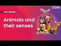 Animal Senses and Communication