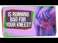 Running and Knee Health Insights