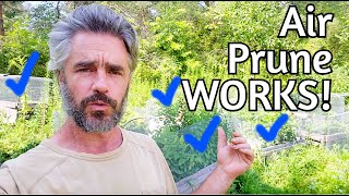 Air Prune Box Deep Dive!